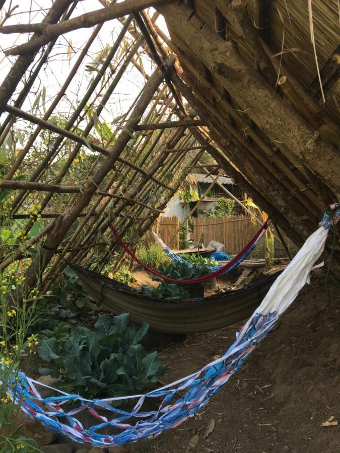 Thong Family Homestay Chiangdao Chiang Dao Exteriér fotografie