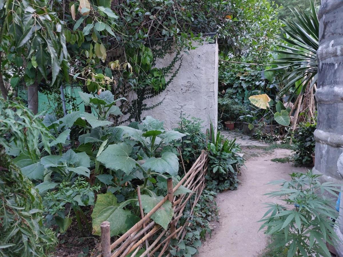 Thong Family Homestay Chiangdao Chiang Dao Exteriér fotografie